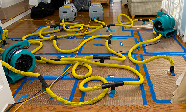 Professional Crawl Space Water Removal technician working in Prague, NE